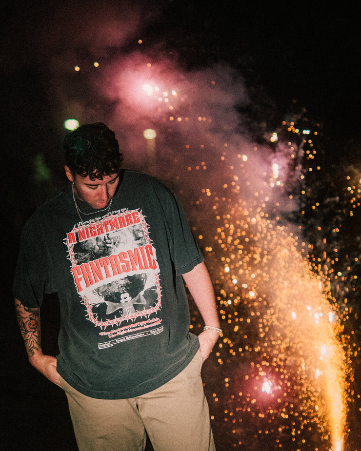 THE NIGHTTIME SPECTACULAR TEE (PEPPER)