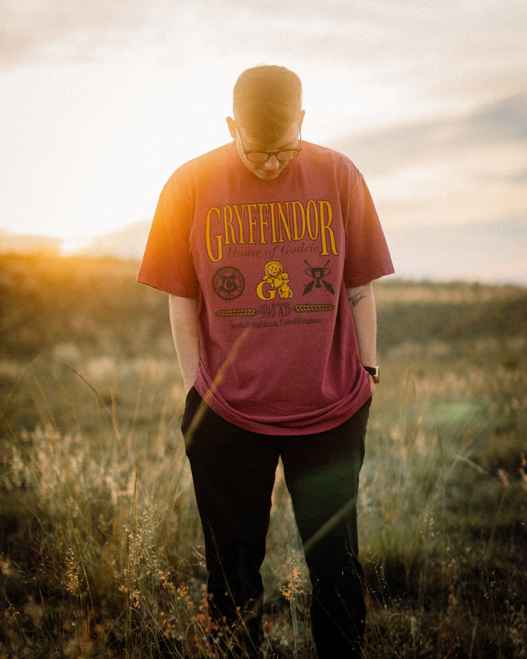 THE HOUSE OF THE LION TEE (SHAKAWEAR)